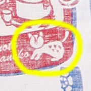 イリオモテヤマネコ