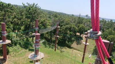 フォレストアドベンチャー