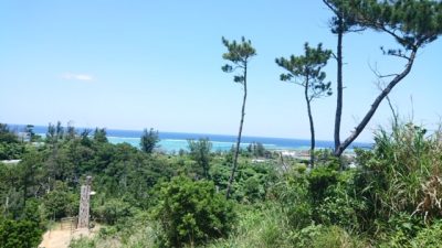 フォレストアドベンチャー