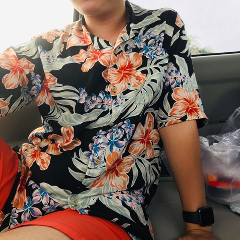 グレイスハイビー