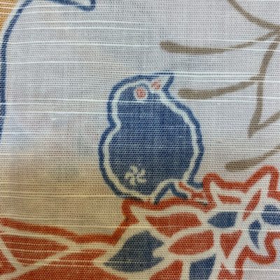 ヤンバルクイナ雛