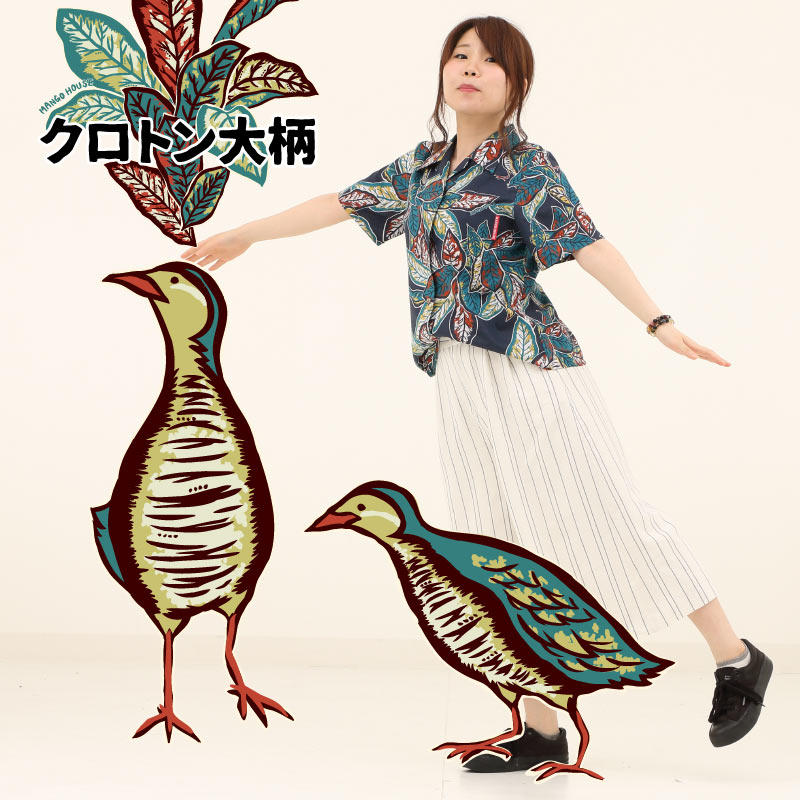 ヤンバルクイナ　かりゆし