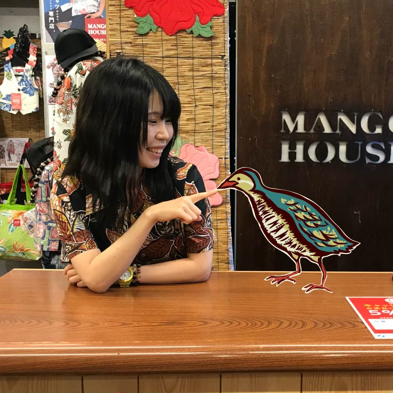 ヤンバルクイナ　かりゆし