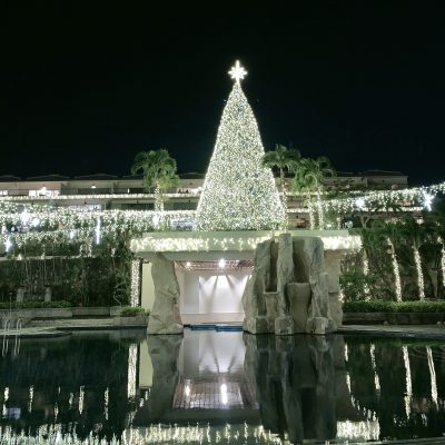 名護のゴージャスイルミネーション