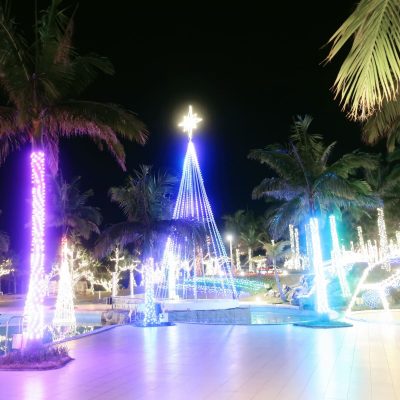 名護のゴージャスイルミネーション