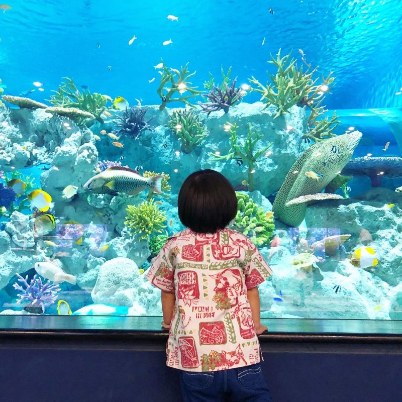 DMMかりゆし水族館行って来ました！