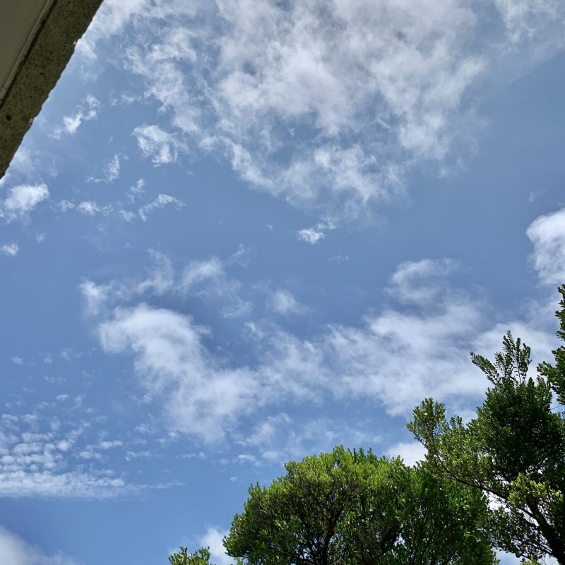 梅雨の中休みは沖縄アロハ（かりゆしウェア）に着替えて・・・。