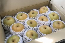 お客様より贈り物