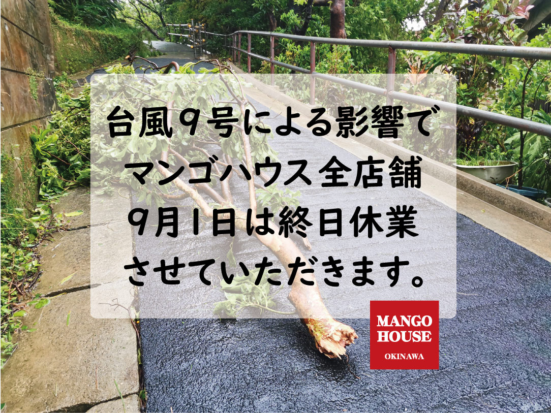 台風9号の影響によりマンゴハウス全店舗、終日休業いたします。