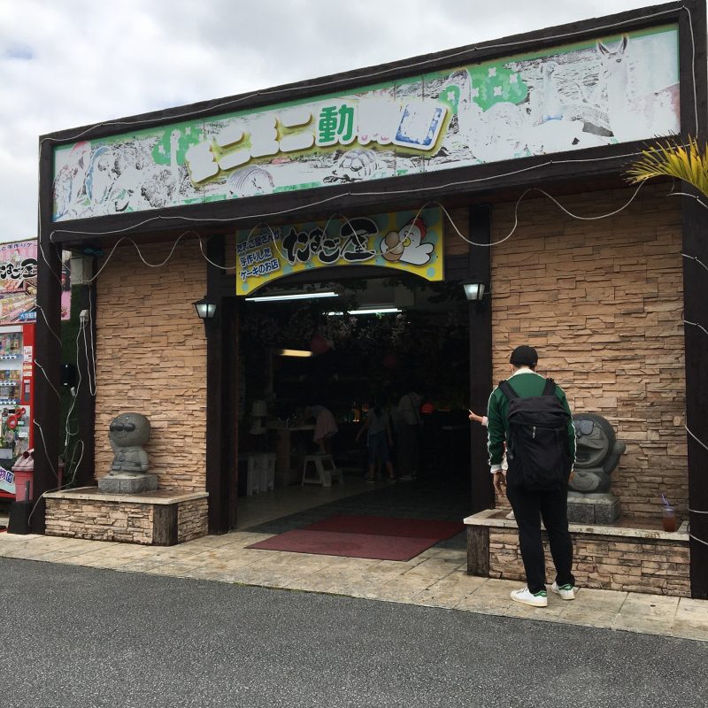 ミニミニ動物園へ行ってきました！