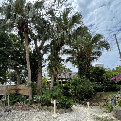 有名沖縄そばのお店