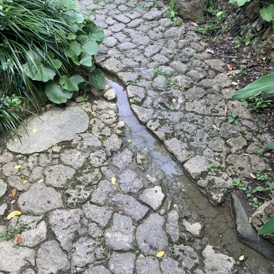 有名沖縄そばのお店