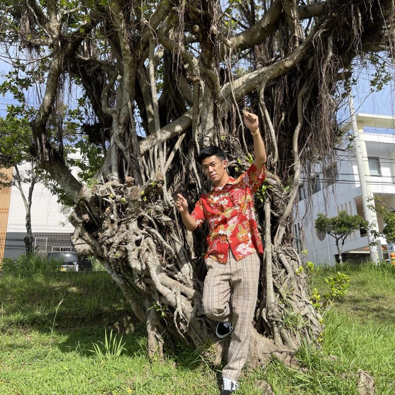 ガジュマルの木