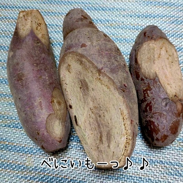 紅芋は、本州に持ちだせない？！紅芋には要注意っ！！