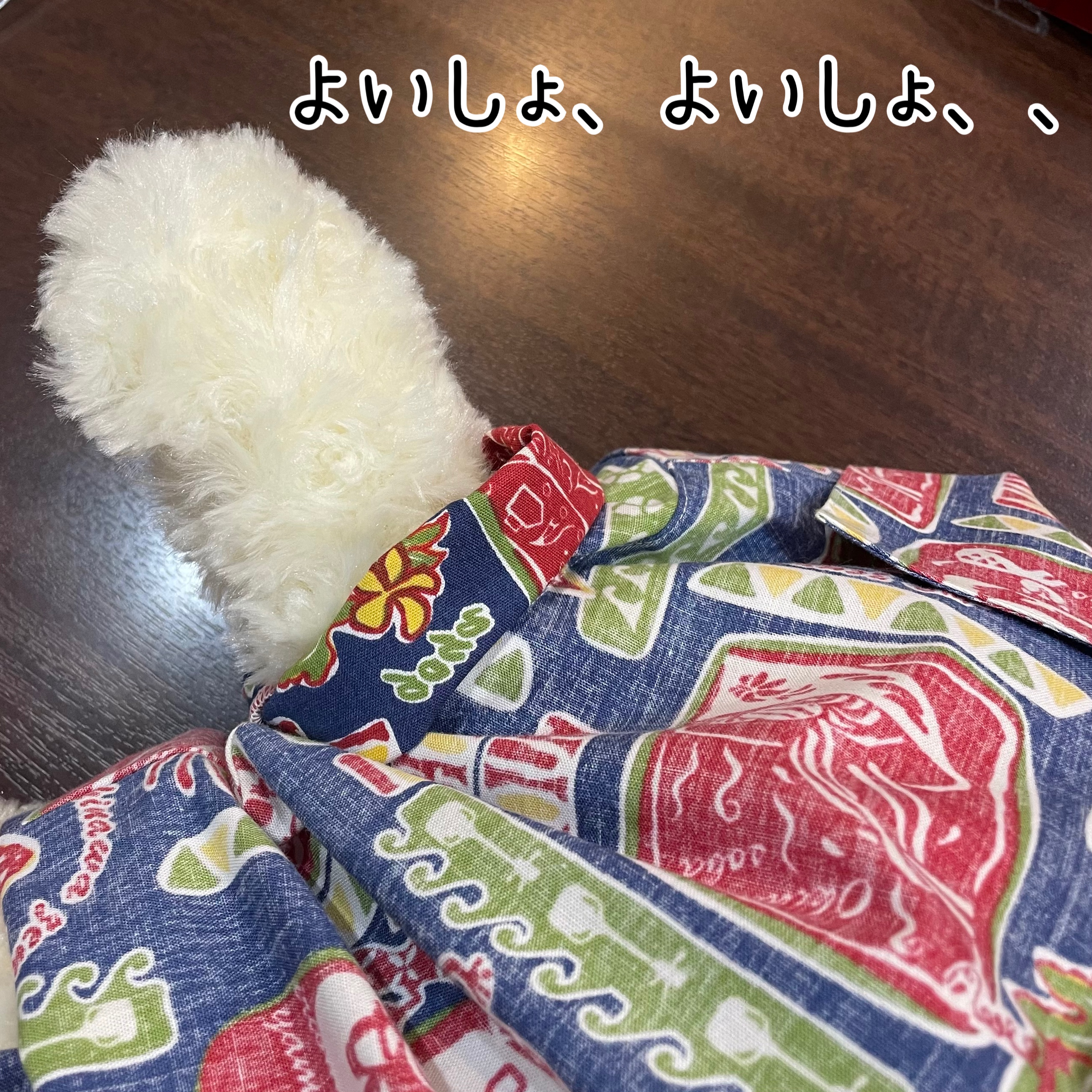 ぬいぐるみのくまちゃん達のかりゆしウェアコーデをご紹介～♡♪