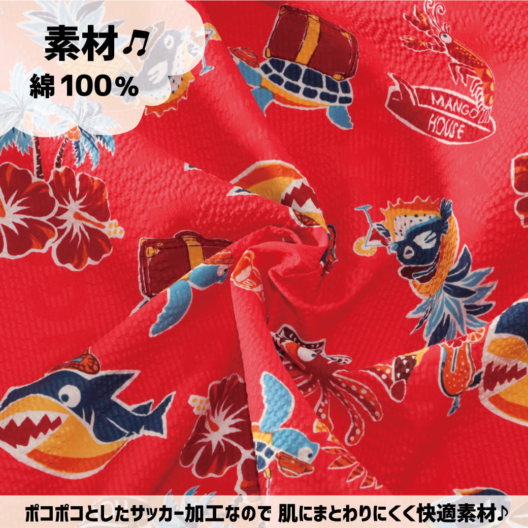 ハッピーシャークと乾杯！