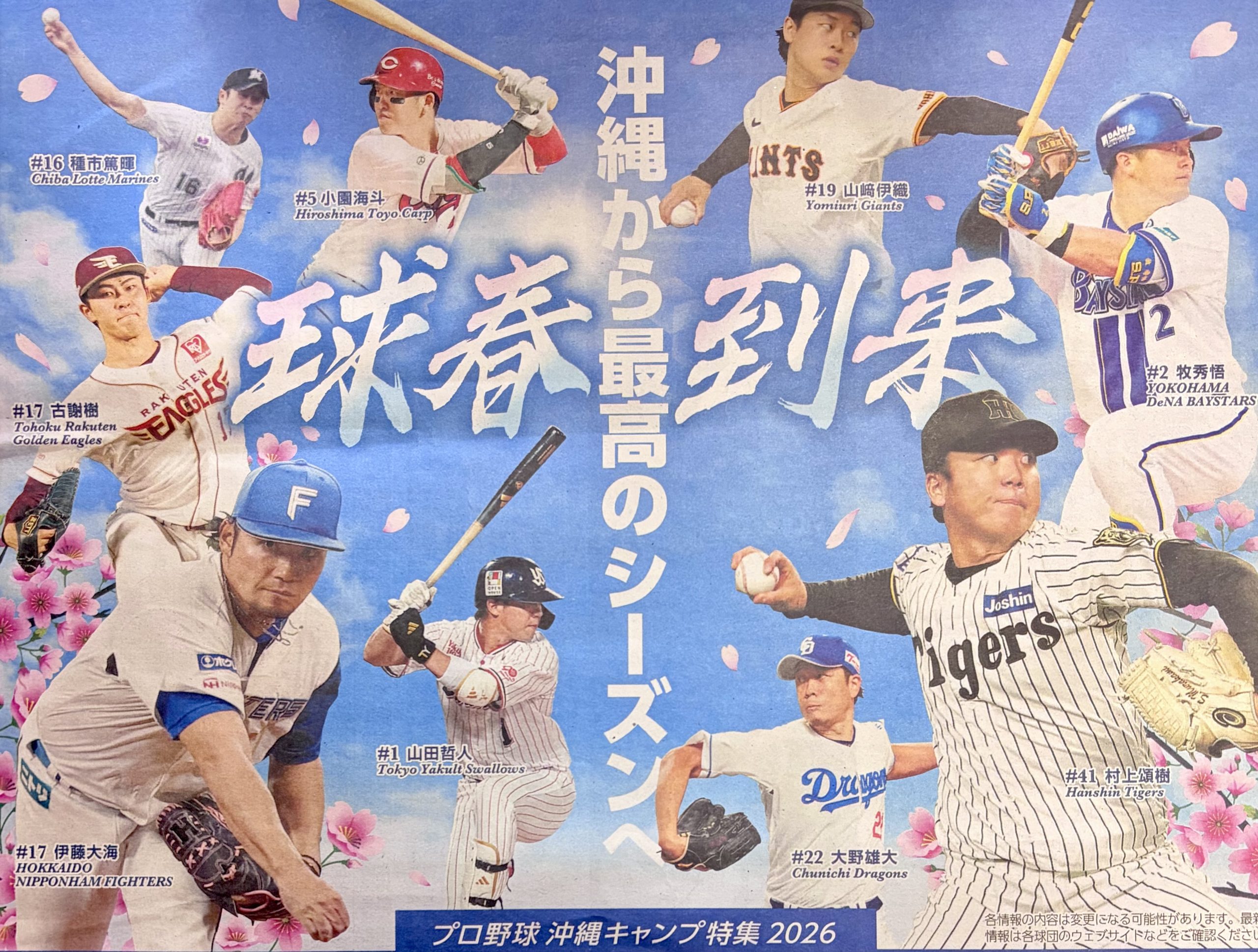 2026年春季沖縄プロ野球キャンプが開催中♪かりゆしウェアを着て応援しよう📣